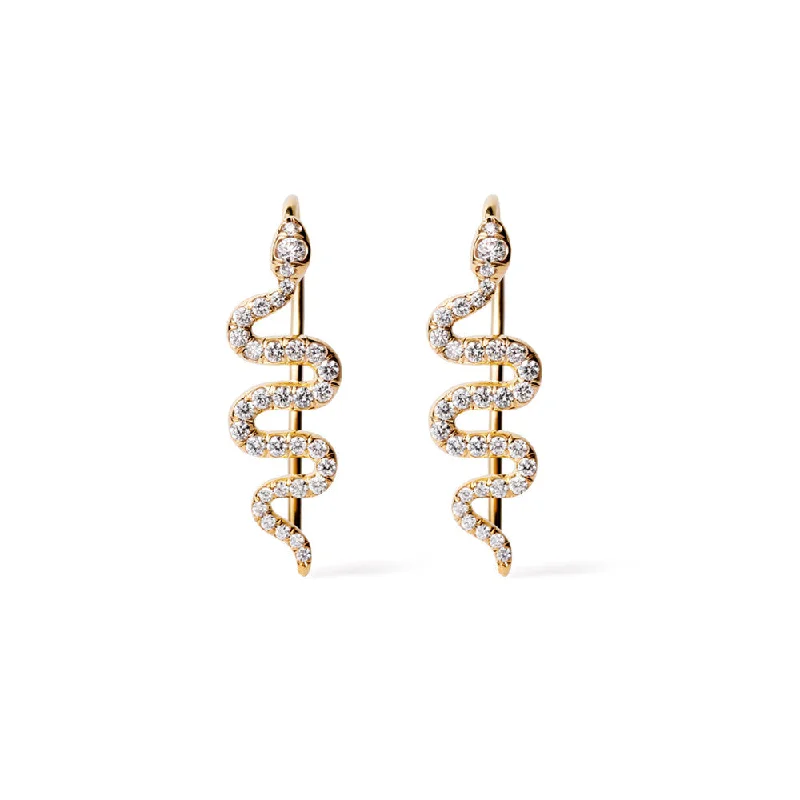 Get The Jewelry You Love At A Price You Love Xenia Earrings